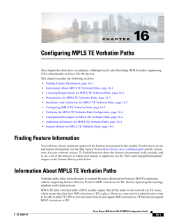 Configuring MPLS TE Verbatim Paths