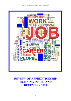 Review of Apprenticeship Training in Ireland