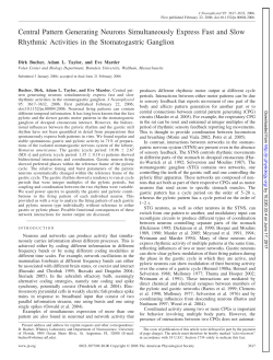 Central Pattern Generating Neurons Simultaneously Express Fast