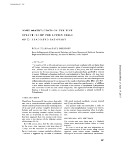 SOME OBSERVATIONS ON THE FINE STRUCTURE OF THE