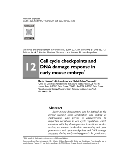 Cell cycle checkpoints and DNA damage response in early mouse