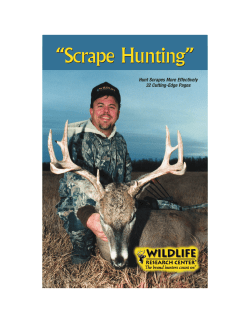 Scrape Hunting - Wildlife Research Center
