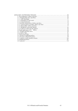 Ch 3 Affixation and Prosodic Domains 63 AFFIXATION AND