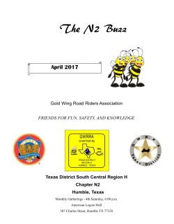 The N2 Buzz - Chapter N2