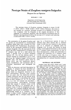Neotype Strain of Zoogloea ramigera Itzigsohn