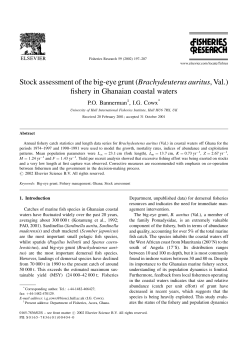 Stock assessment of the big-eye grunt