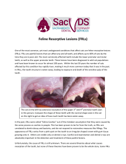 Feline Resorptive Lesions (FRLs)