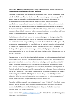 Perturbation of Photosynthetic Organisms &ndash; Single cell analysis