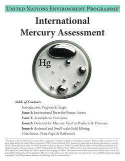 International Mercury Assessment Hg