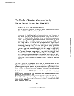 The Uptake of Divalent Mature Normal Human Manganese Ion by