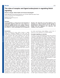 The roles of receptor and ligand endocytosis in regulating Notch