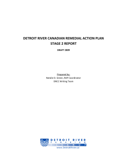 Detroit River Remedial Action Plan