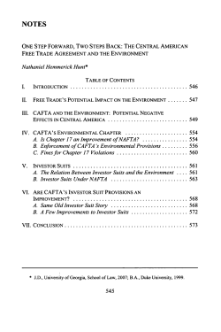 One Step Forward, Two Steps Back: The Central American Free