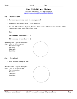 How Cells Divide: Meiosis