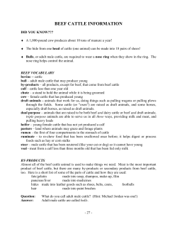 Beef Cattle Information - North American International Livestock