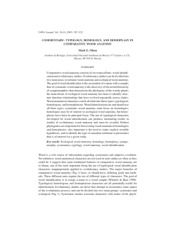 COMMENTARY: TYPOLOGY, HOMOLOGY, AND HOMOPLASY IN
