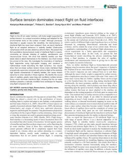 Surface tension dominates insect flight on fluid interfaces