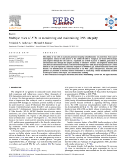 Multiple roles of ATM in monitoring and maintaining DNA integrity