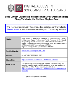 Blood Oxygen Depletion Is Independent of Dive Function in a Deep