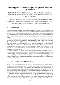 Binding pocket shape analysis for protein function prediction