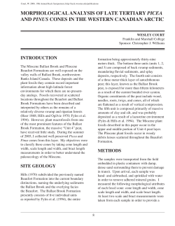 Morphological Analysis of Late Tertiary Picea and Pinus Cones in