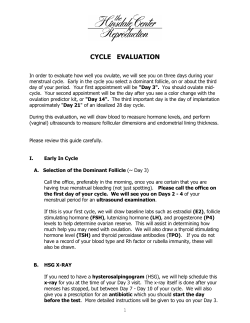 cycle evaluation - The Hinsdale Center for Reproduction