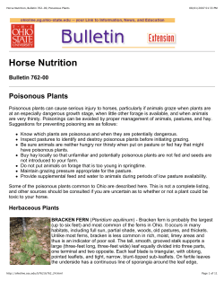 Horse Nutrition, Bulletin 762-00, Poisonous Plants