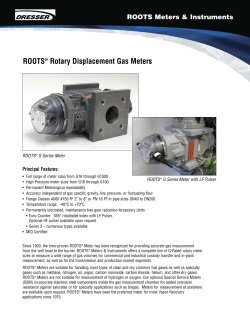 Technical Datasheet