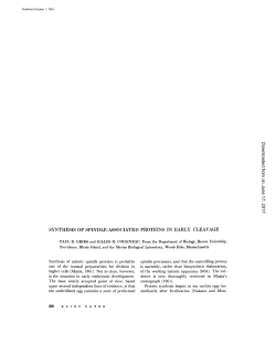 SYNTHESIS OF SPINDLE-ASSOCIATED PROTEINS IN EARLY