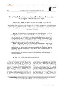 Protective effects of boron and vitamin E on ethylene glycol