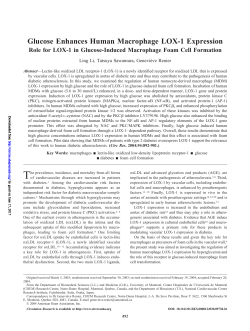 Glucose Enhances Human Macrophage LOX