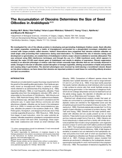 The Accumulation of Oleosins Determines the Size of Seed