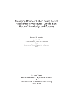 Managing Reindeer Lichen during Forest Regeneration Procedures