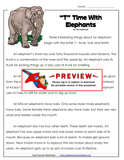 “T” Time With Elephants - Super Teacher Worksheets