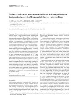 Carbon translocation patterns associated with new root proliferation