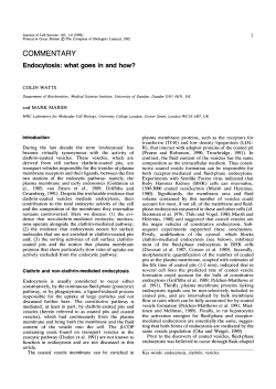 Endocytosis: what goes in and how?