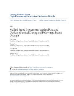 Mallard Brood Movements, Wetland Use, and Duckling Survival