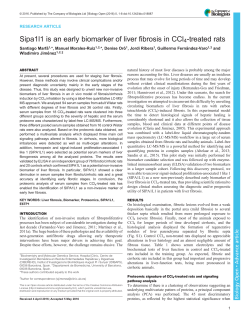 Sipa1l1 is an early biomarker of liver fibrosis in CCl4