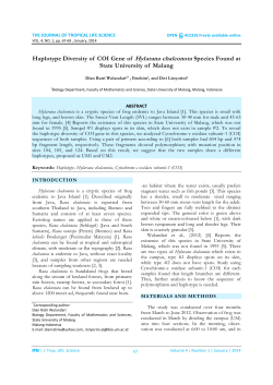 Haplotype Diversity of COI Gene of Hylarana chalconota Species
