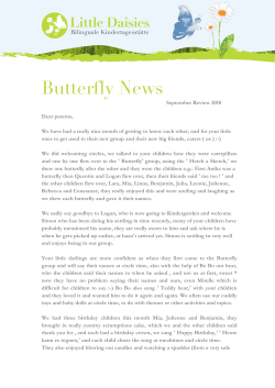 Butterfly News - Little Daisies