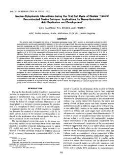 Nuclear-Cytoplasmic Interactions during the First Cell Cycle of