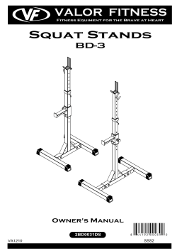 Squat Stands VALOR FITNESS