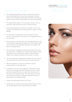 Handout Master Training Advanced Eyeliner