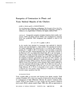 Energetics of Contraction in Phasic and Tonic Skeletal Muscles of
