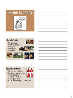 Simple Traits Multiple Alleles