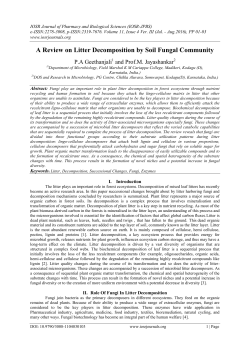A Review on Litter Decomposition by Soil Fungal Community