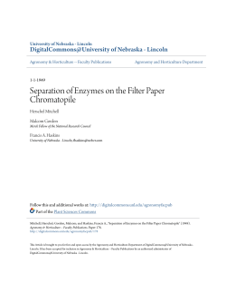 Separation of Enzymes on the Filter Paper Chromatopile