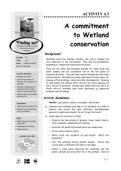 A commitment to Wetland conservation