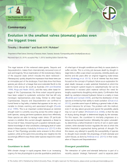 Evolution in the smallest valves (stomata) guides even the biggest