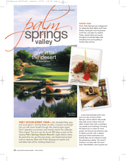 PalmSprings SS0509:APR. template
